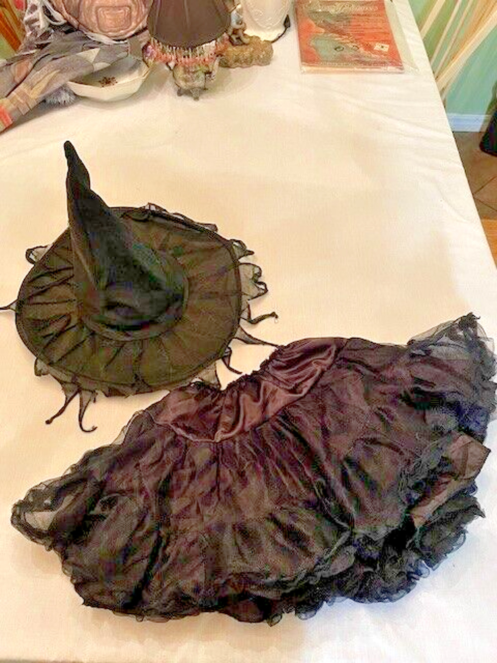 Witch Hat and Size 1 Tutu Costume